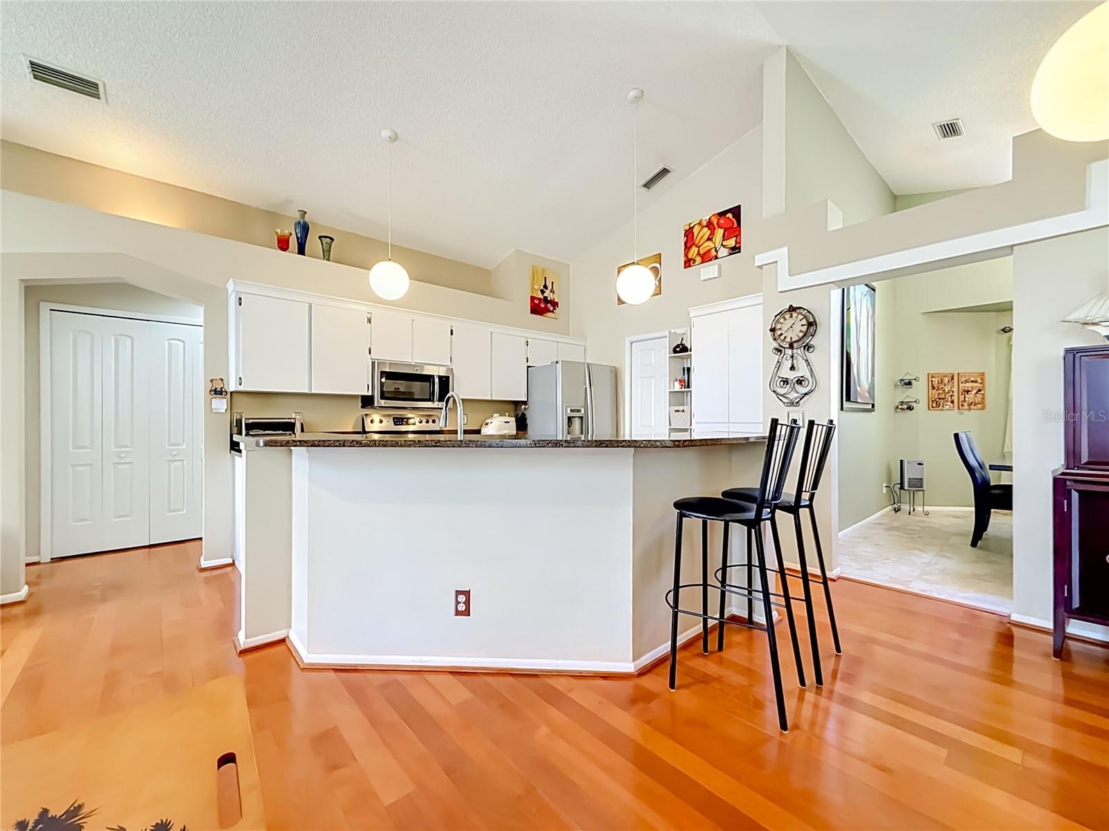 2924 PENRIDGE DR, PALM HARBOR, FL, 34684
