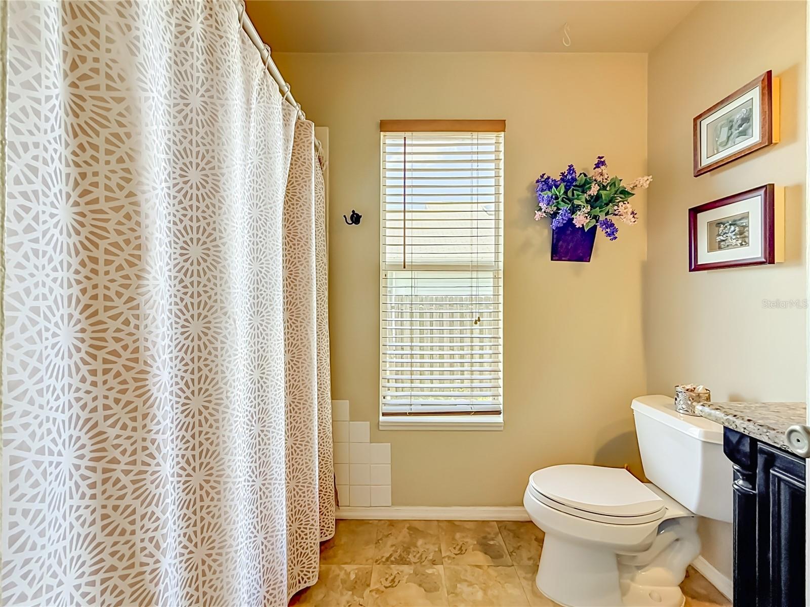 2924 PENRIDGE DR, PALM HARBOR, FL, 34684