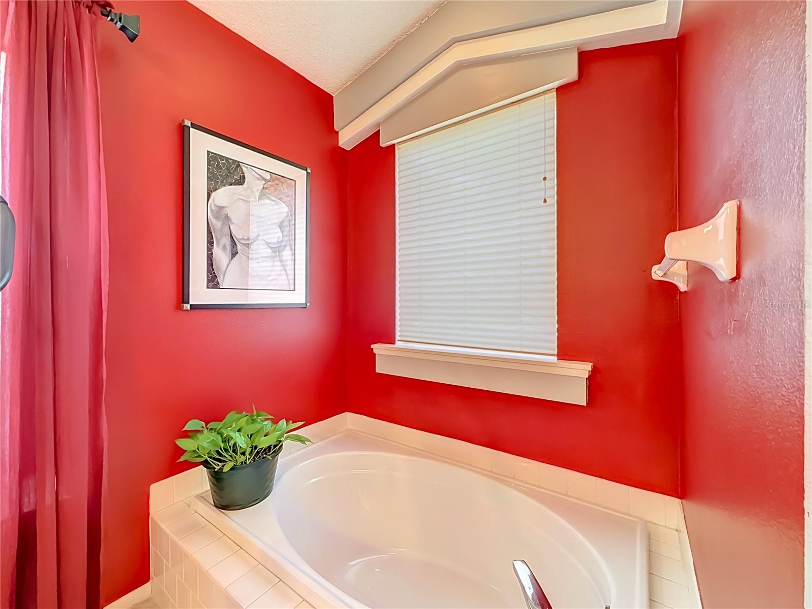 2924 PENRIDGE DR, PALM HARBOR, FL, 34684