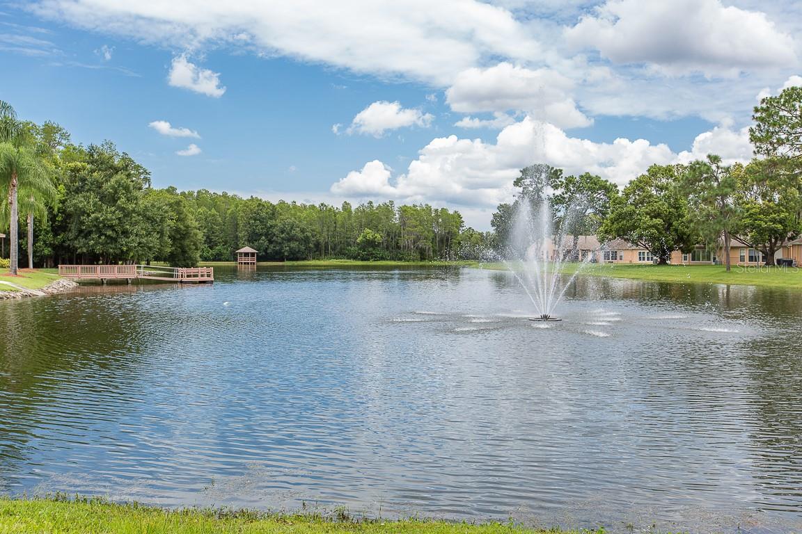 9903 KINGSPORT AVE, NEW PORT RICHEY, FL, 34655