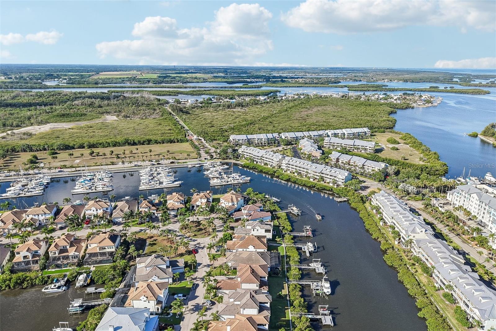 3110 CHRISTOPHERS WATCH LN, RUSKIN, FL, 33570
