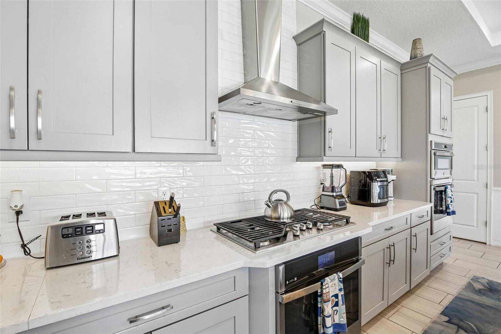 3110 CHRISTOPHERS WATCH LN, RUSKIN, FL, 33570