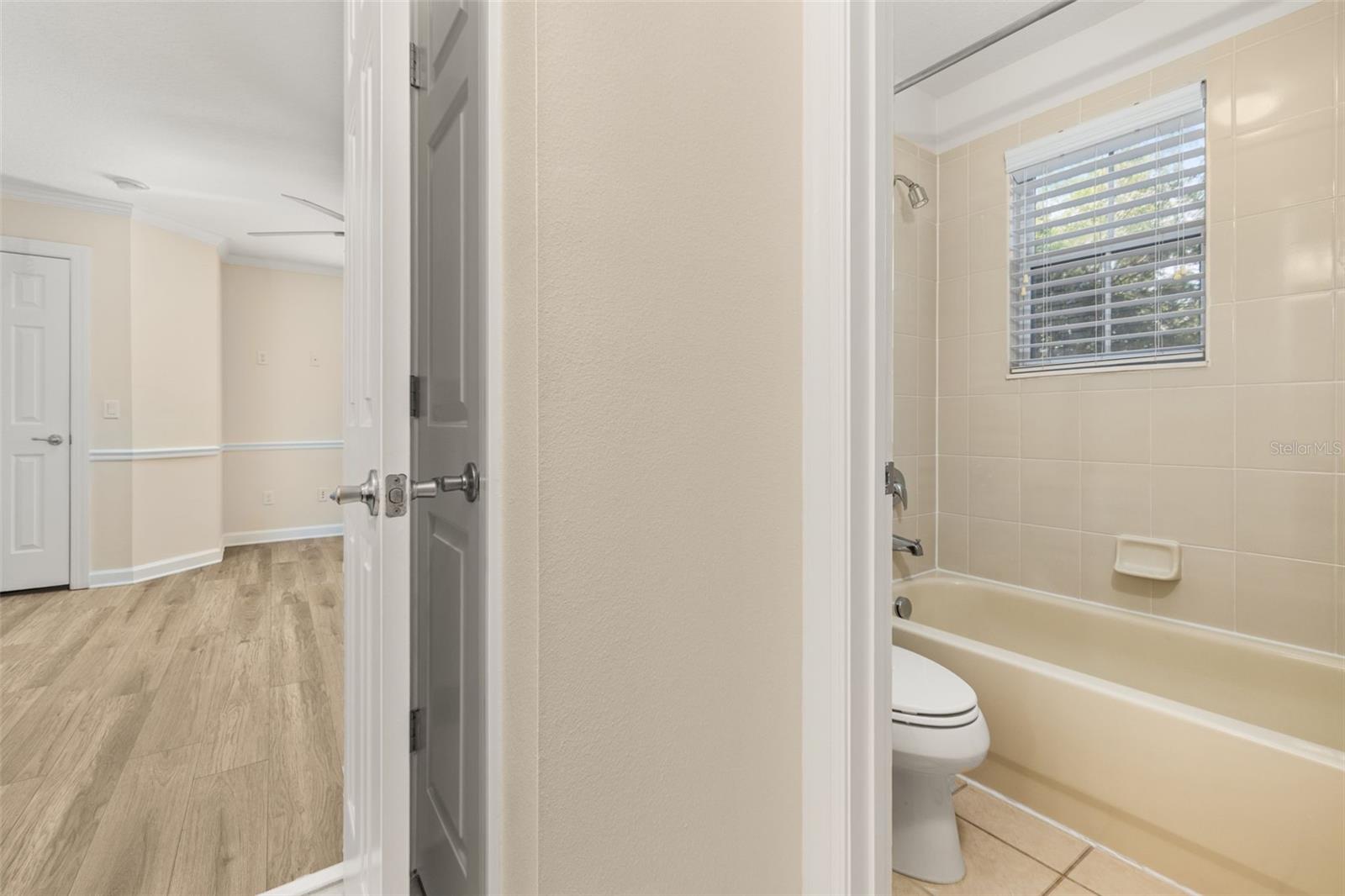 703 EAGLE WOODS TRL, CELEBRATION, FL, 34747