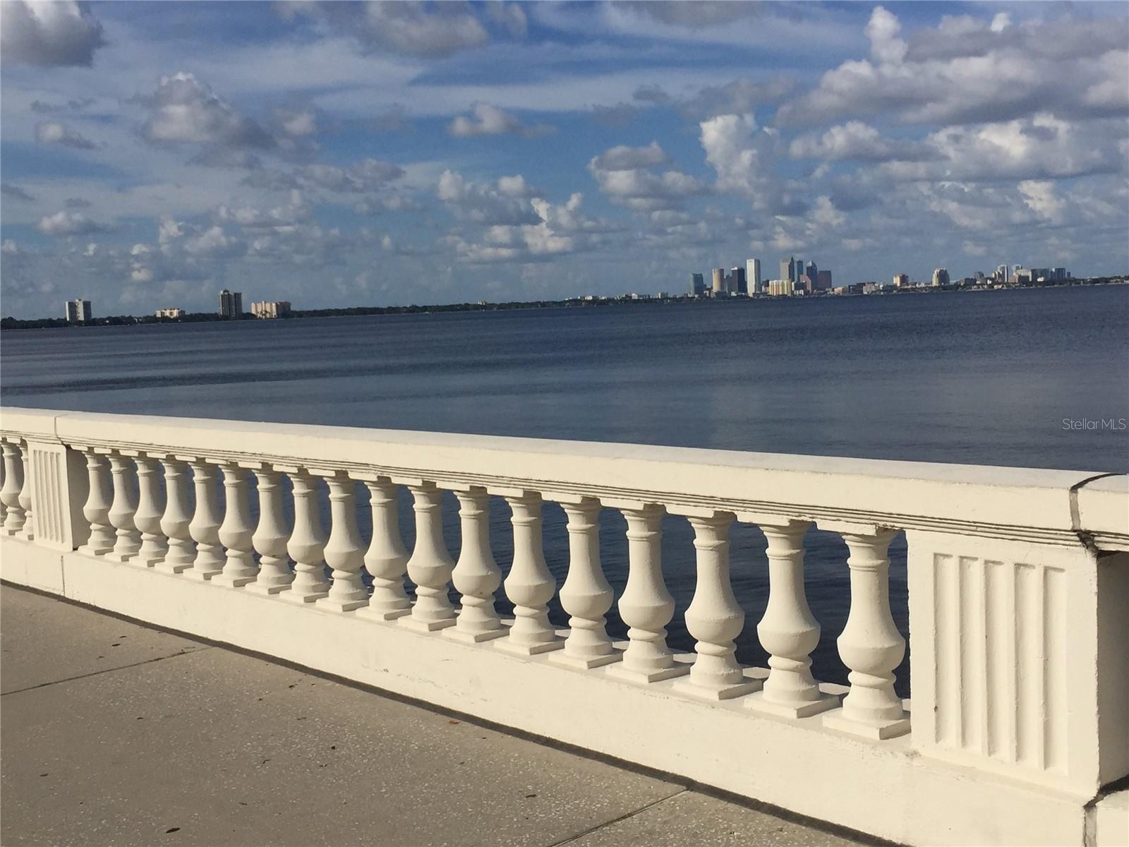 5300 BAYSHORE BLVD #A5, TAMPA, FL, 33611