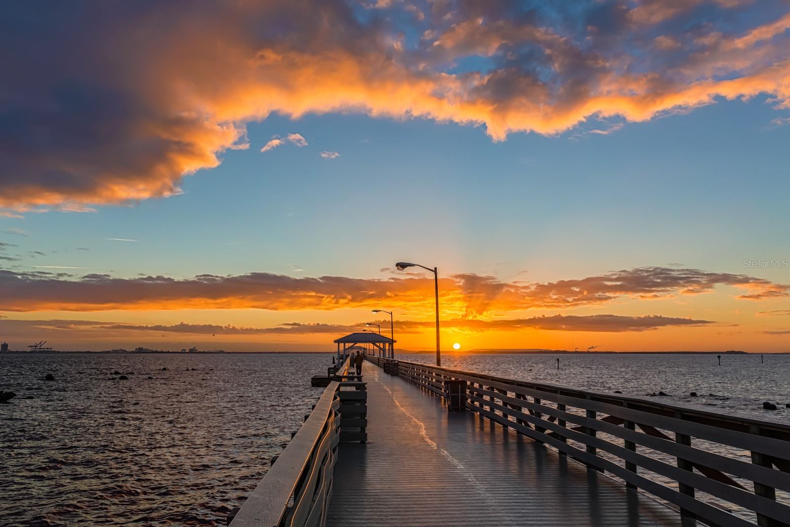 5300 BAYSHORE BLVD #A5, TAMPA, FL, 33611