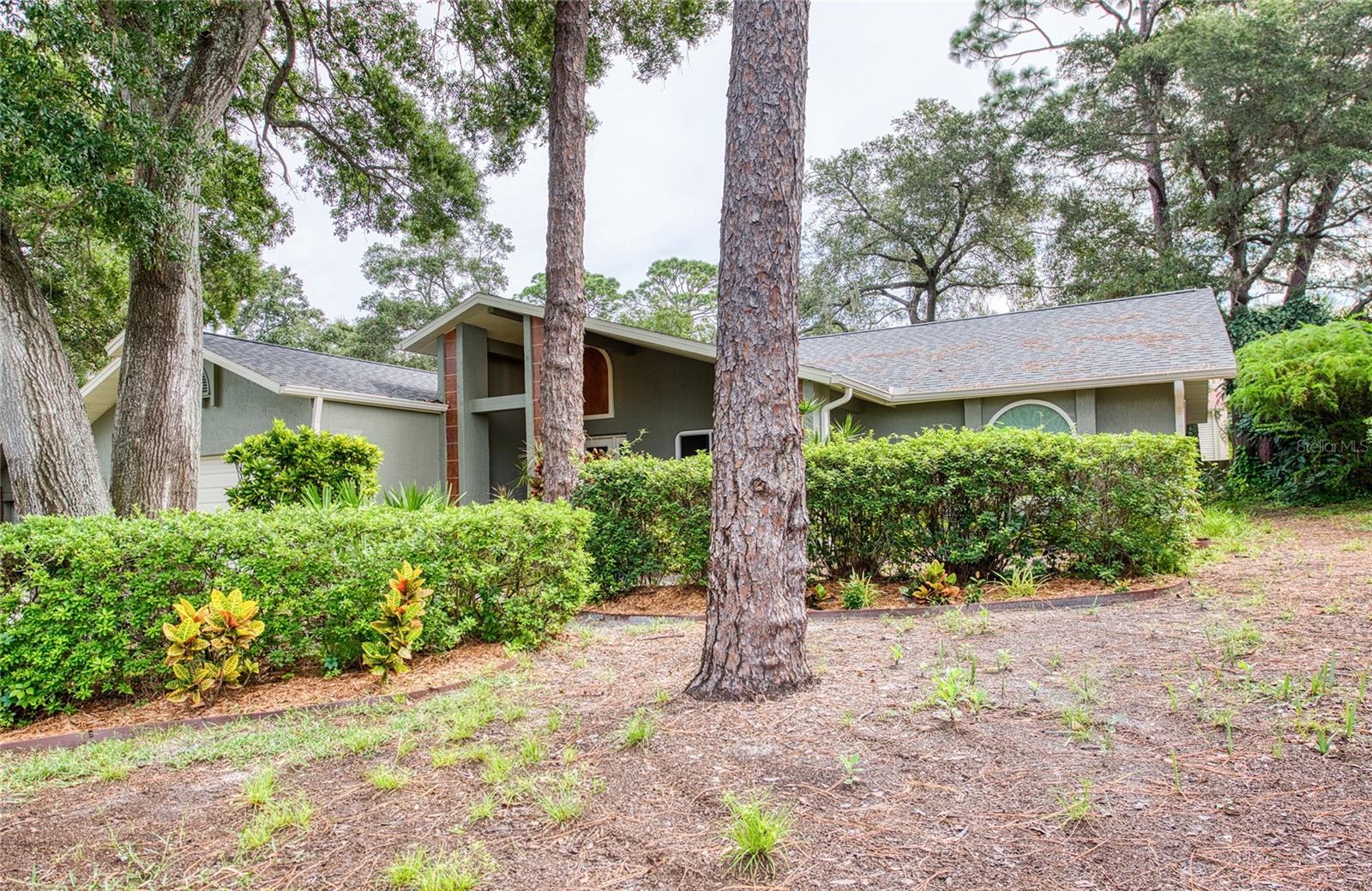 2143 SALISBURY CT, PALM HARBOR, FL, 34683