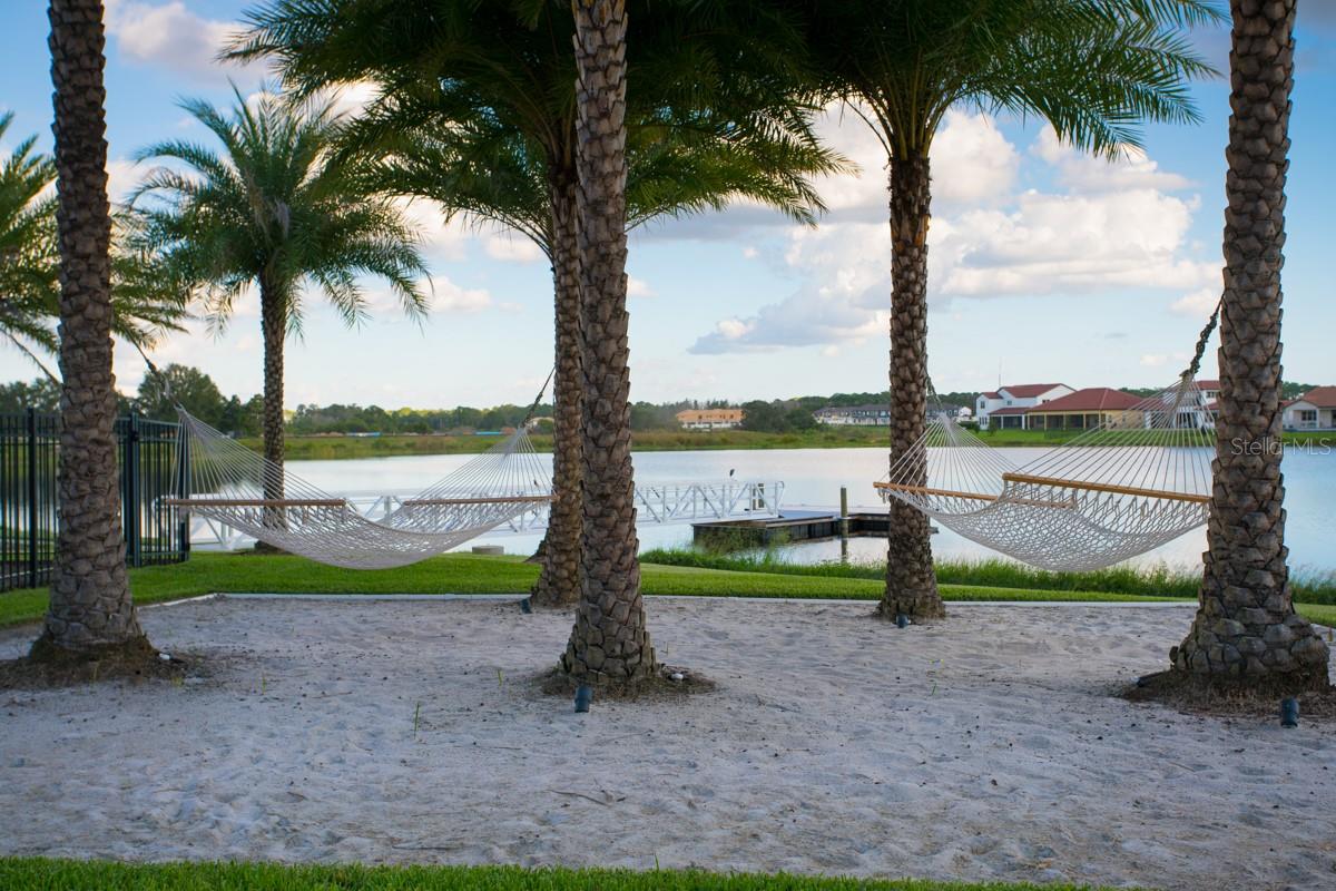 8801 FOUNTAIN PALM ALY, WINTER GARDEN, FL, 34787