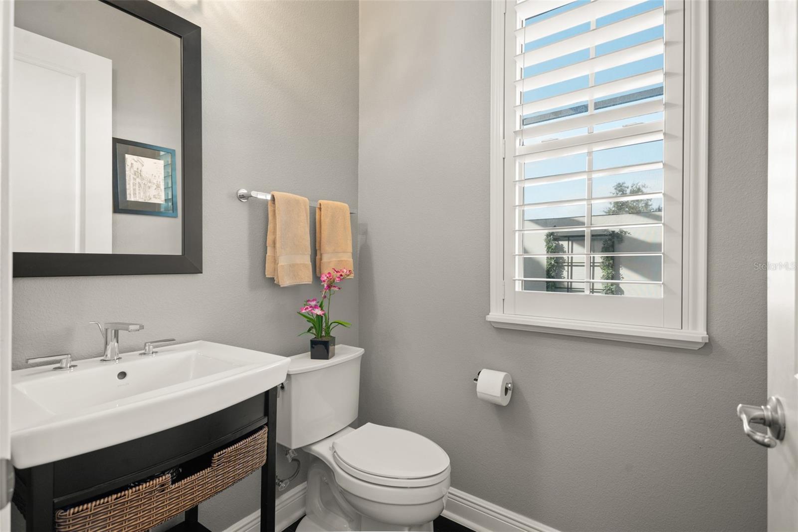 8801 FOUNTAIN PALM ALY, WINTER GARDEN, FL, 34787