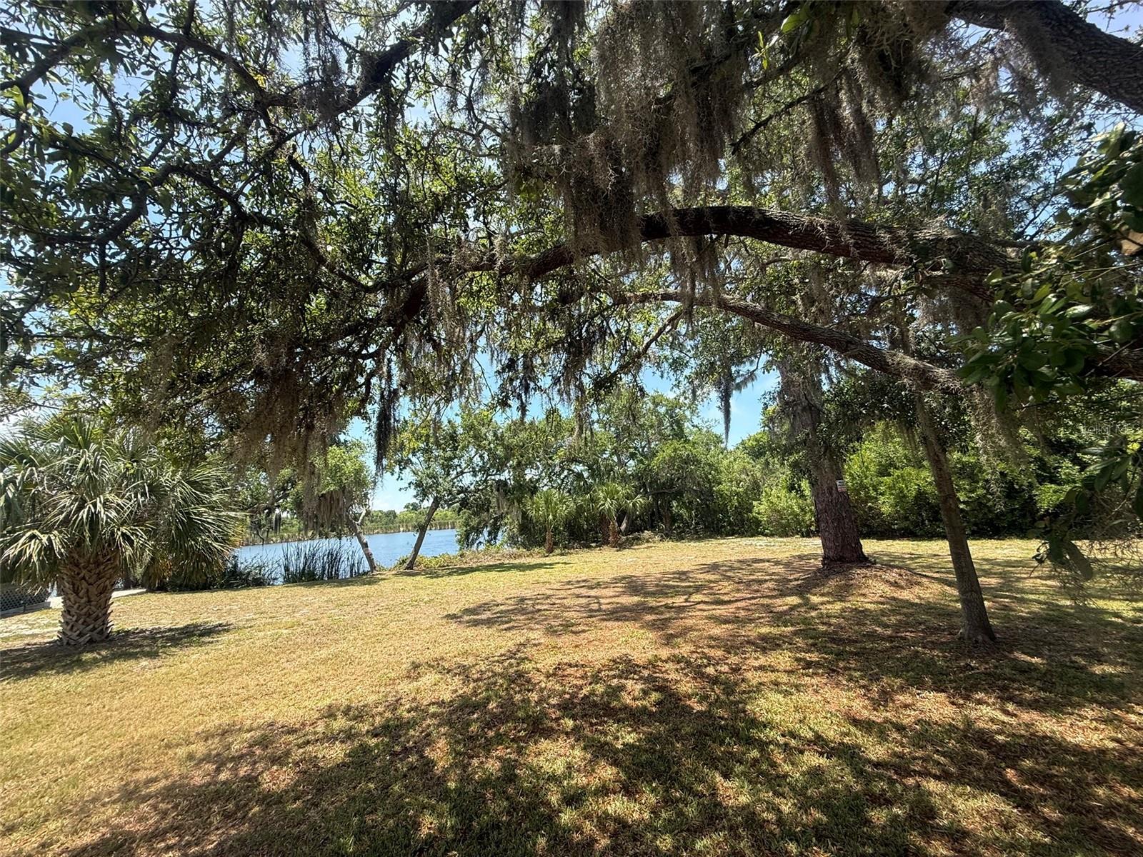 1105 ASHLAND, TARPON SPRINGS, FL, 34689
