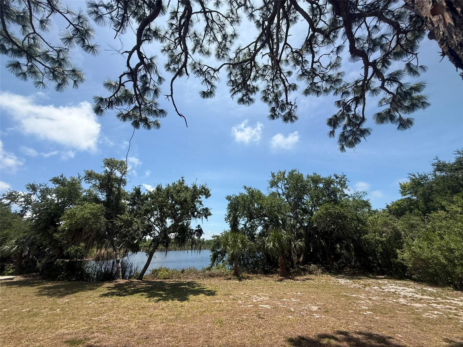 1105 ASHLAND, TARPON SPRINGS, FL, 34689