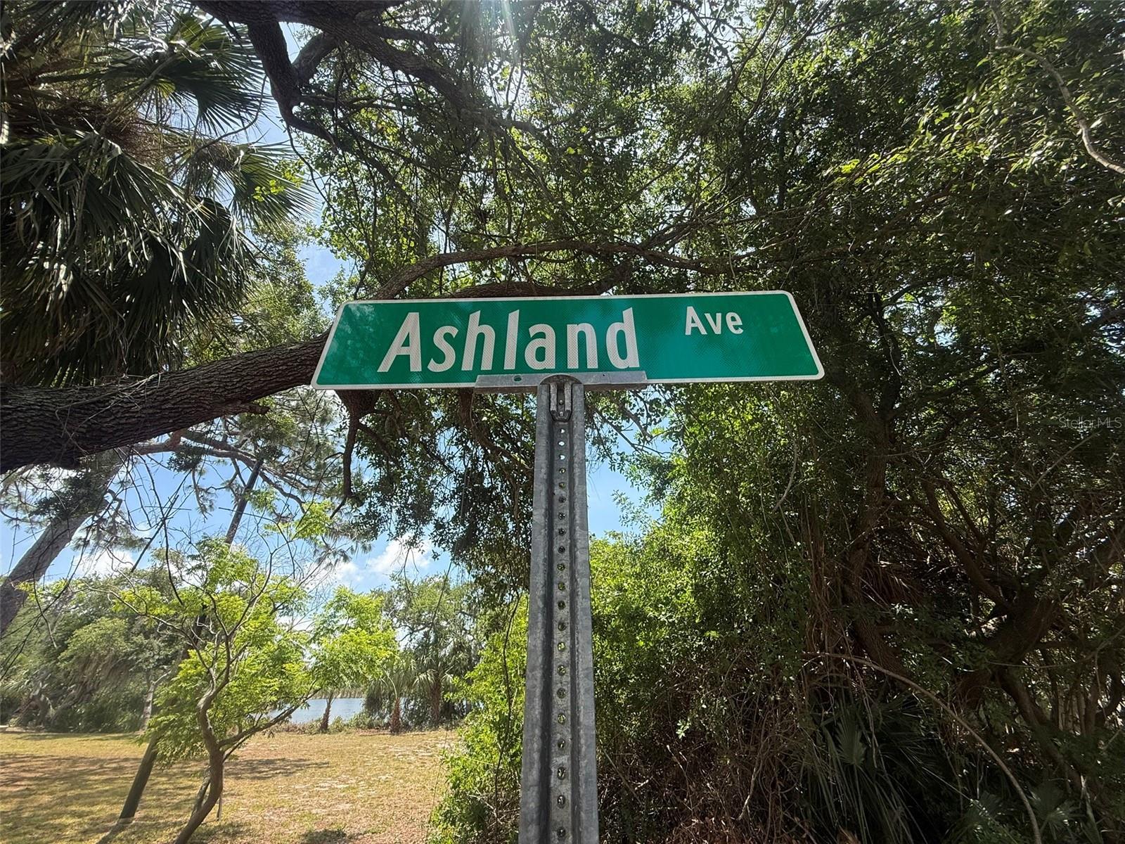 1105 ASHLAND, TARPON SPRINGS, FL, 34689