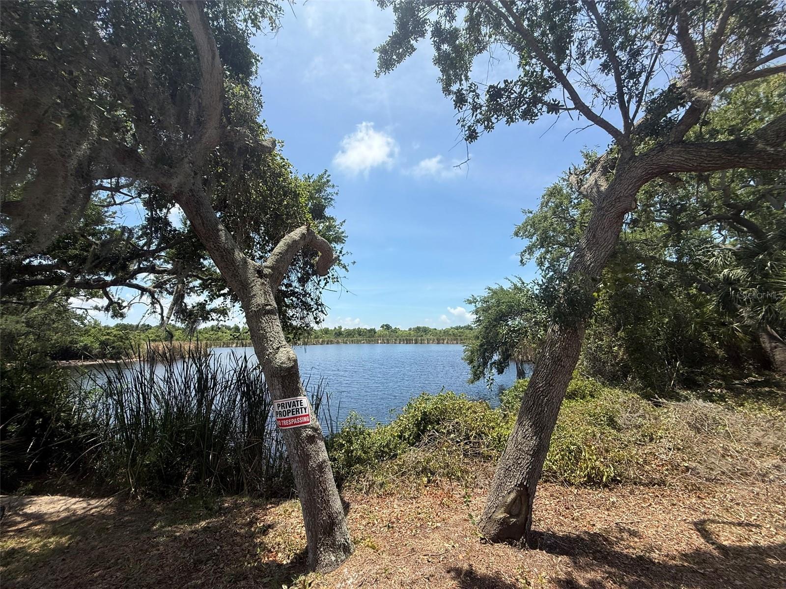 1105 ASHLAND, TARPON SPRINGS, FL, 34689