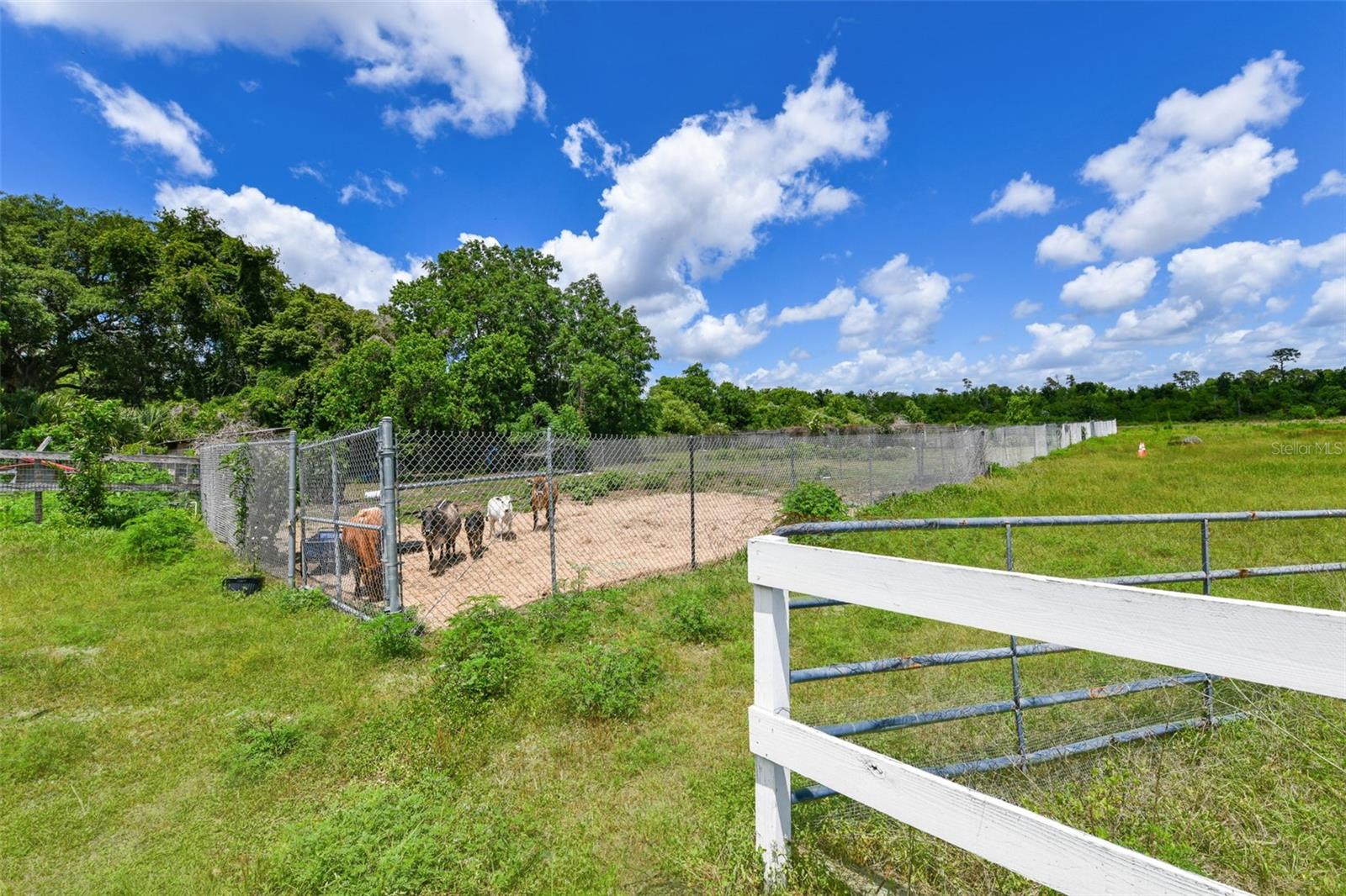 5750 OAK HOLLOW LN, OVIEDO, FL, 32765