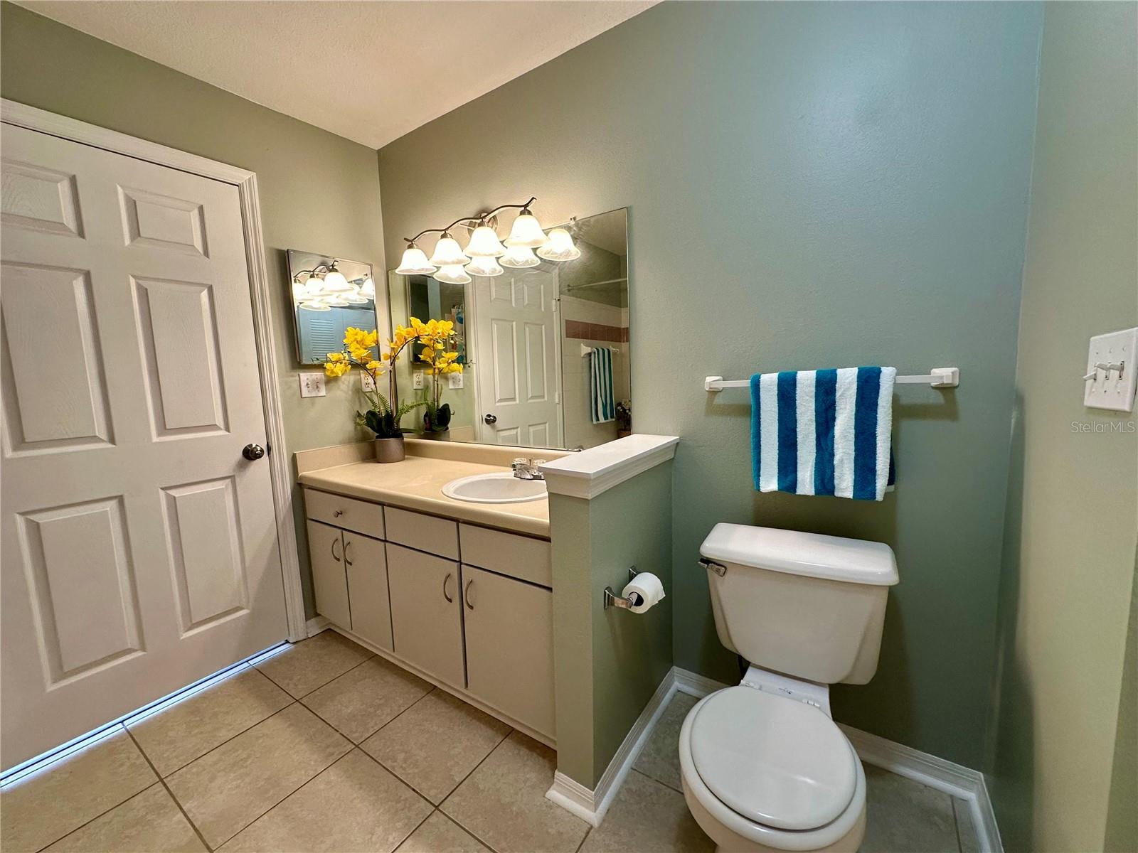 10534 WHITE LAKE CT #10534, TAMPA, FL, 33626