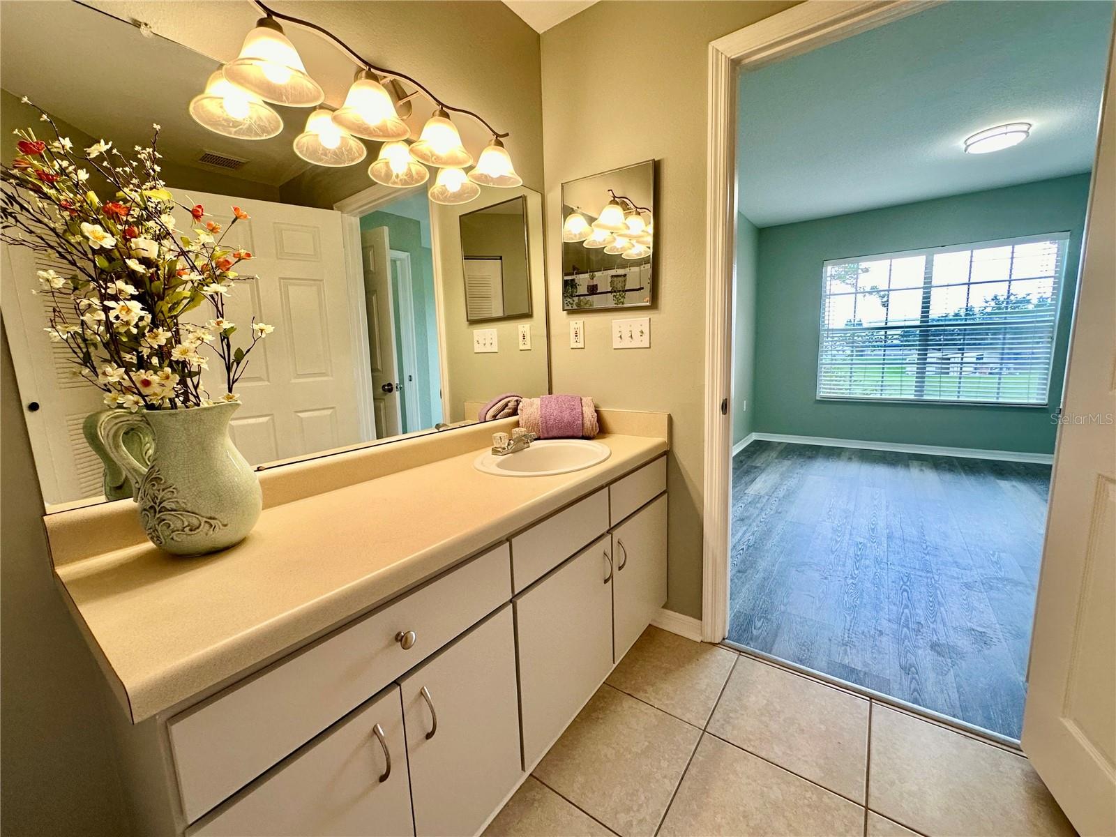 10534 WHITE LAKE CT #10534, TAMPA, FL, 33626