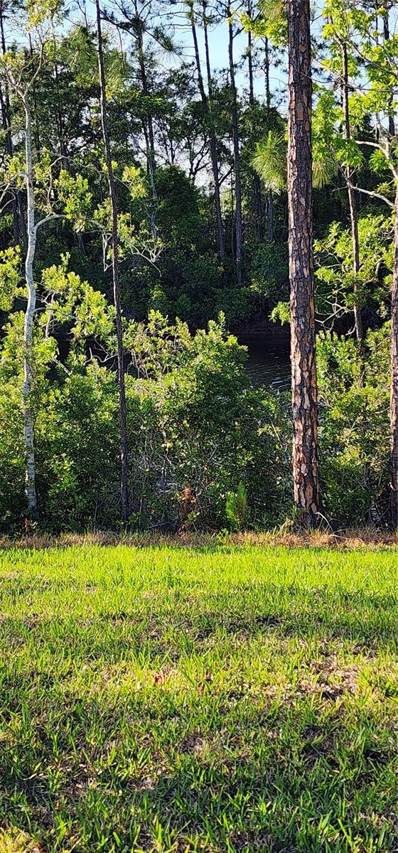79 PEPPERDINE DR, PALM COAST, FL, 32164