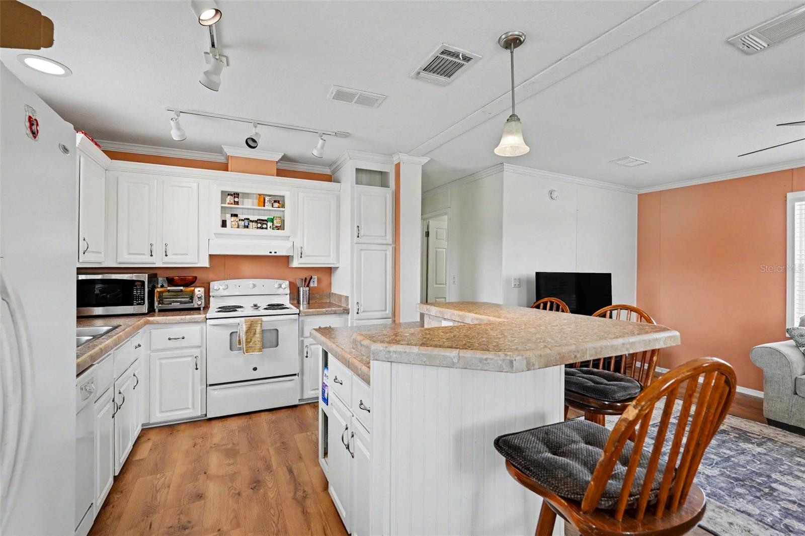 17161 MORRIS BRIDGE RD, THONOTOSASSA, FL, 33592