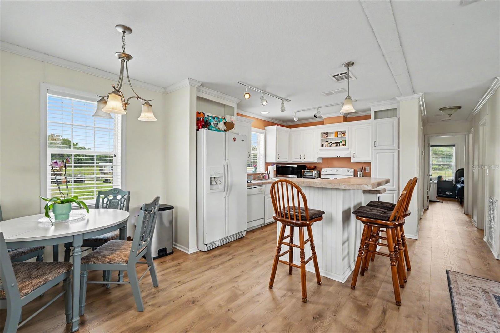 17161 MORRIS BRIDGE RD, THONOTOSASSA, FL, 33592