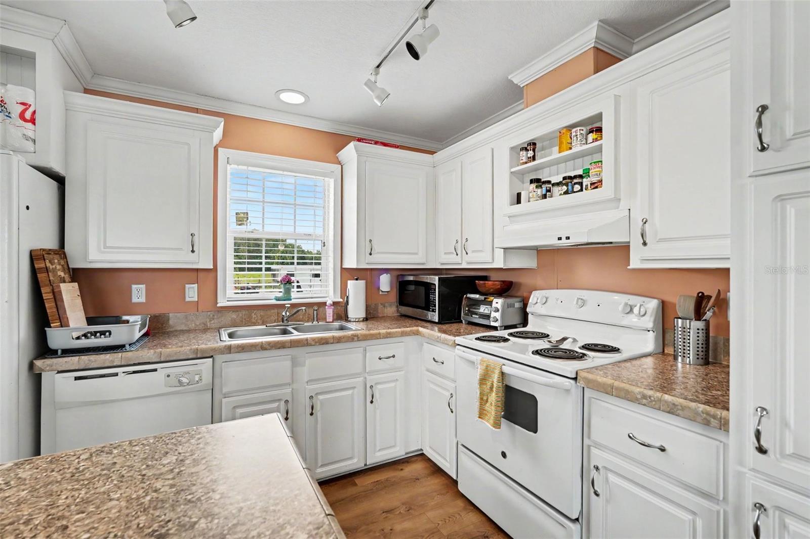 17161 MORRIS BRIDGE RD, THONOTOSASSA, FL, 33592