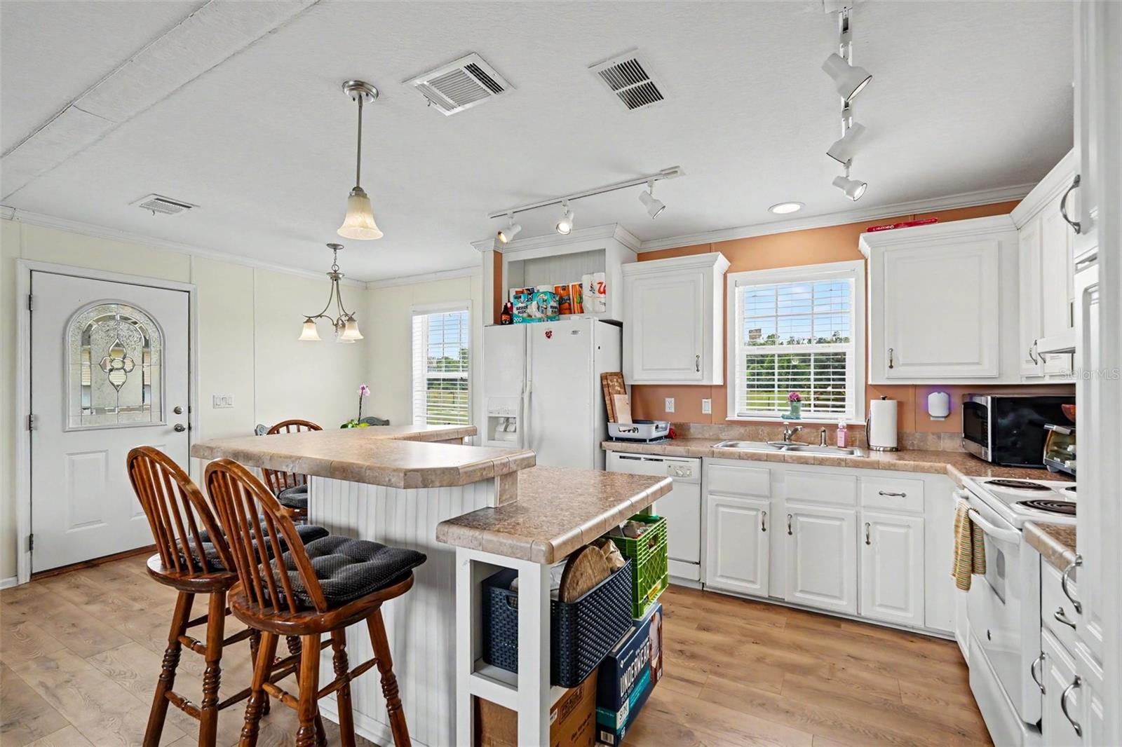 17161 MORRIS BRIDGE RD, THONOTOSASSA, FL, 33592