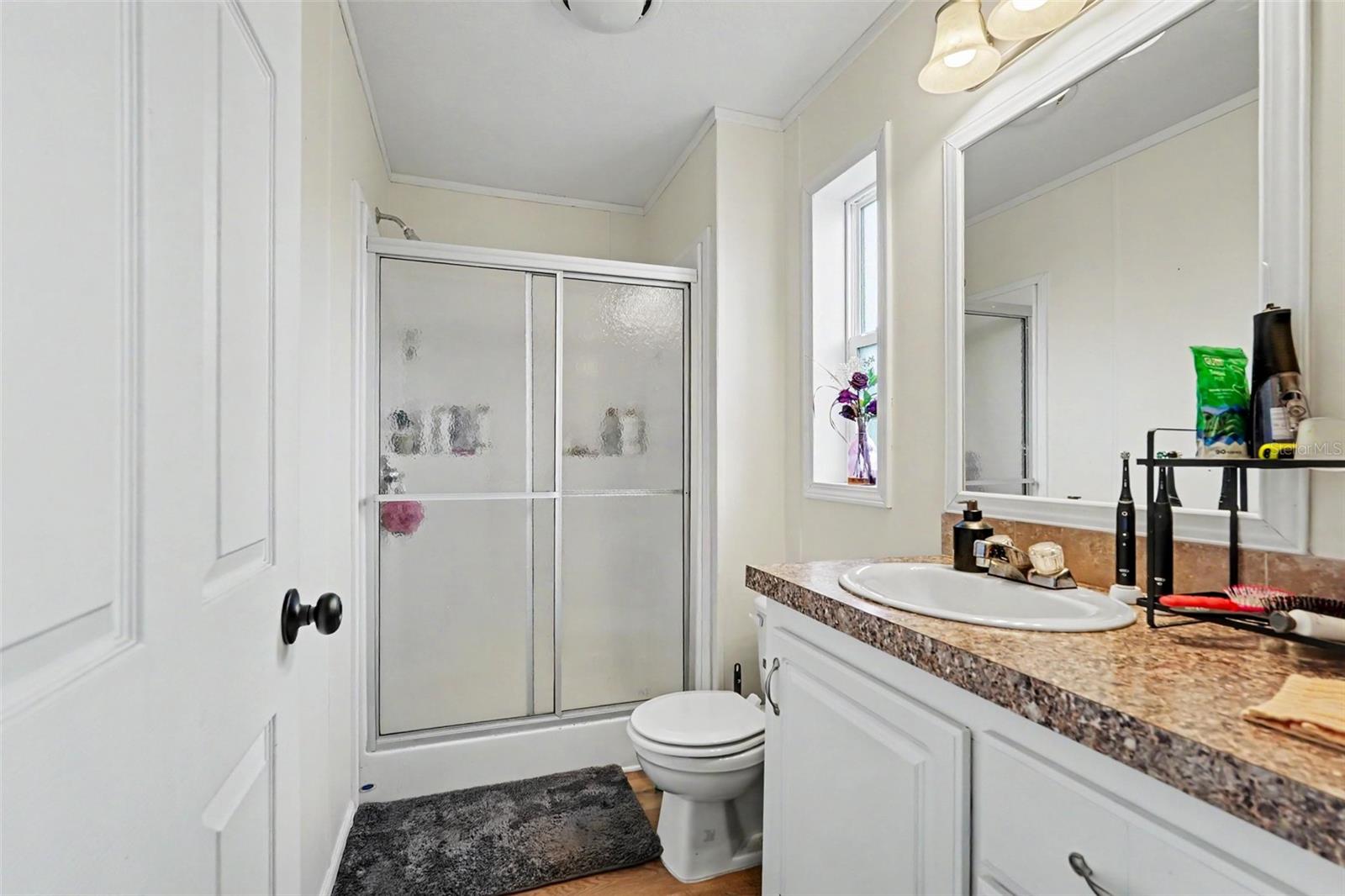 17161 MORRIS BRIDGE RD, THONOTOSASSA, FL, 33592