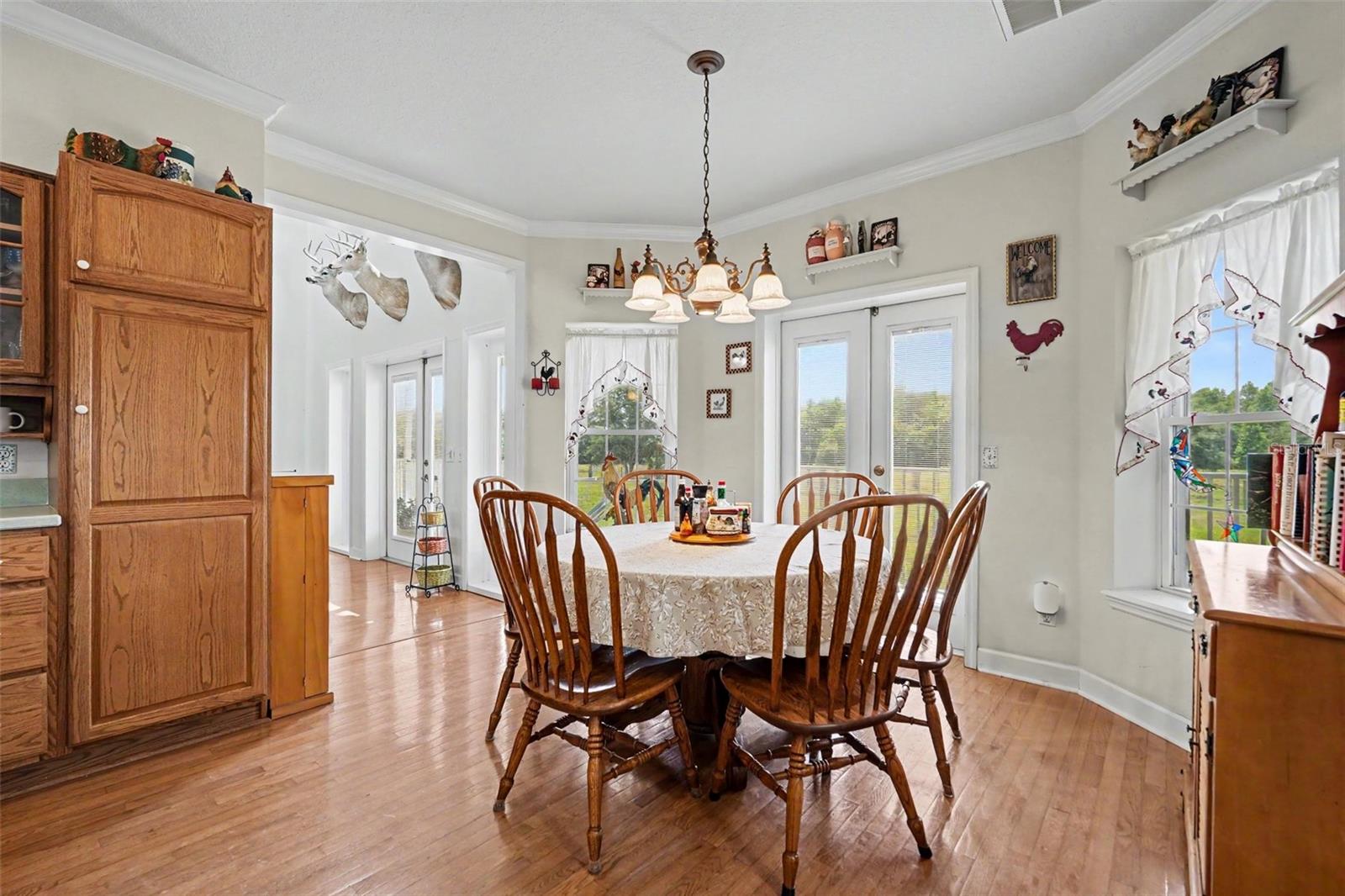 17161 MORRIS BRIDGE RD, THONOTOSASSA, FL, 33592
