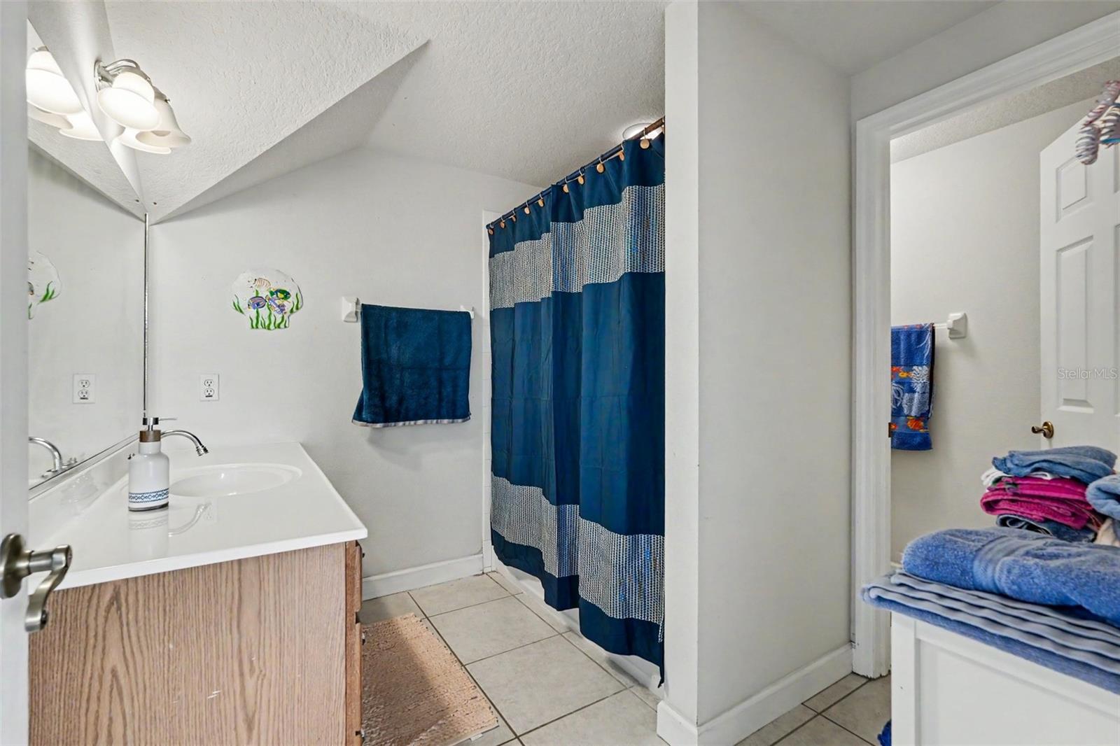 17161 MORRIS BRIDGE RD, THONOTOSASSA, FL, 33592