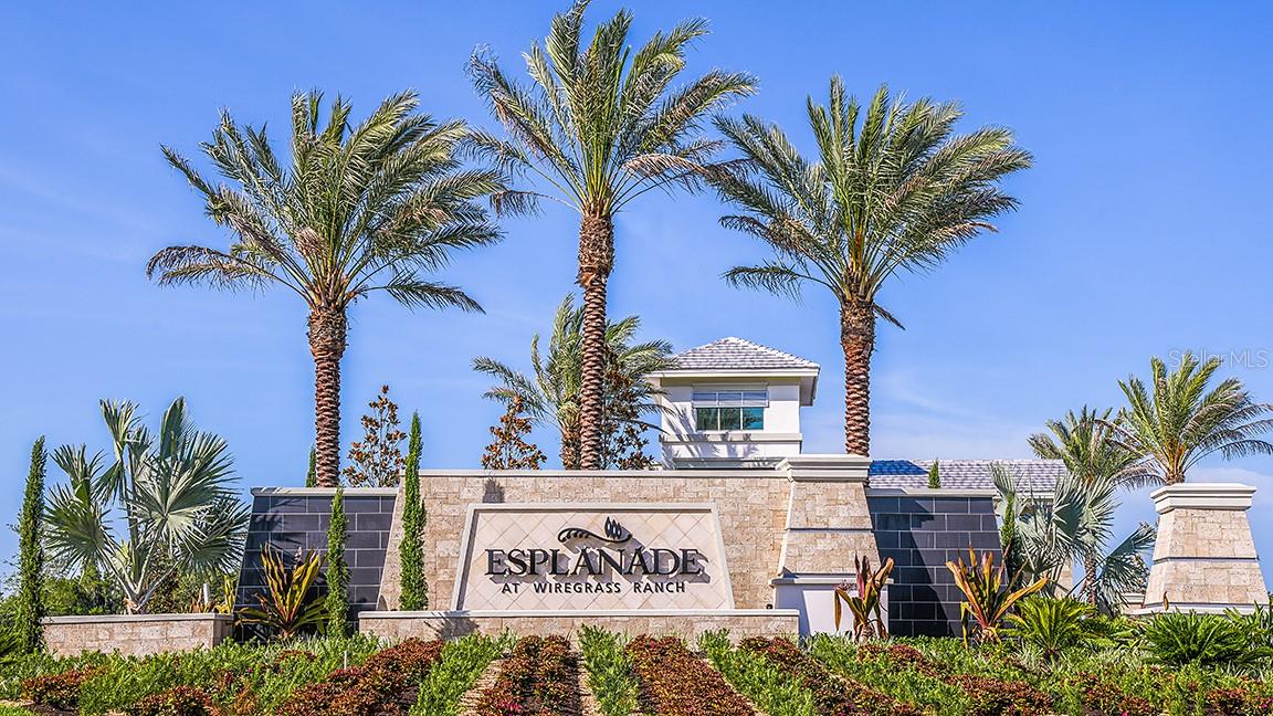 3816 IMMACOLATA WAY, WESLEY CHAPEL, FL, 33543