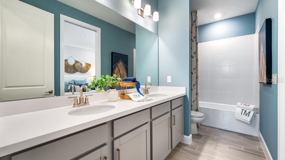 3816 IMMACOLATA WAY, WESLEY CHAPEL, FL, 33543