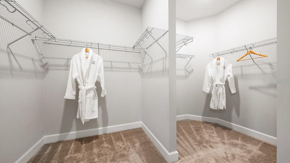 3816 IMMACOLATA WAY, WESLEY CHAPEL, FL, 33543