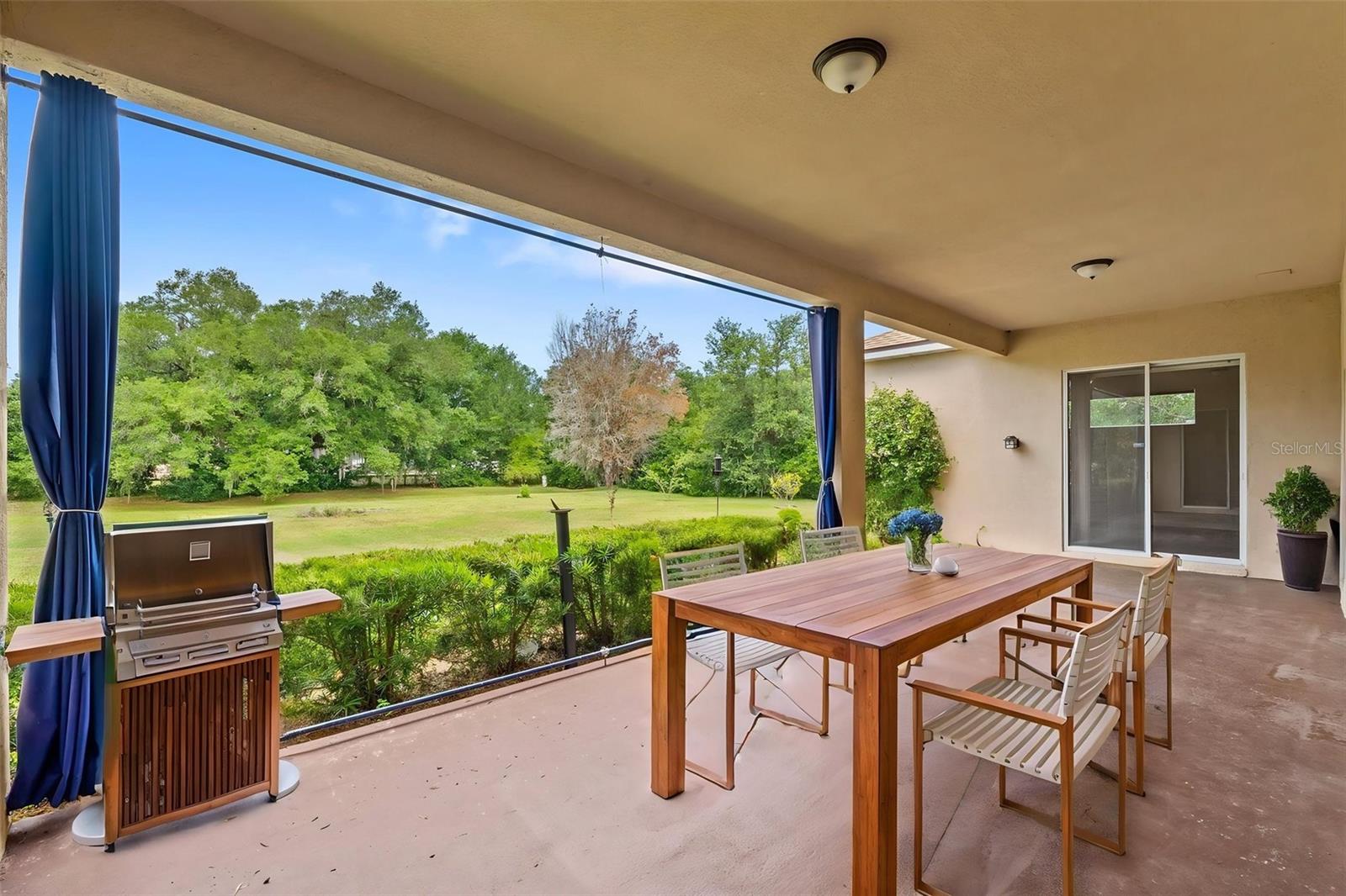 14705 AMBER SWEET LN, WIMAUMA, FL, 33598