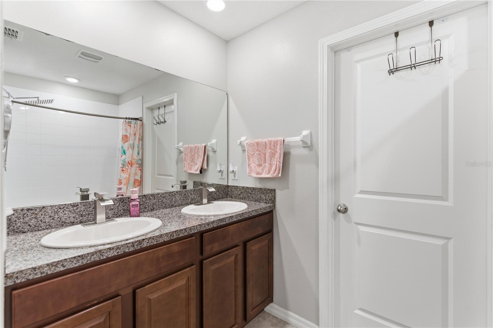 10206 COOL WATERLILY AVE, RIVERVIEW, FL, 33578