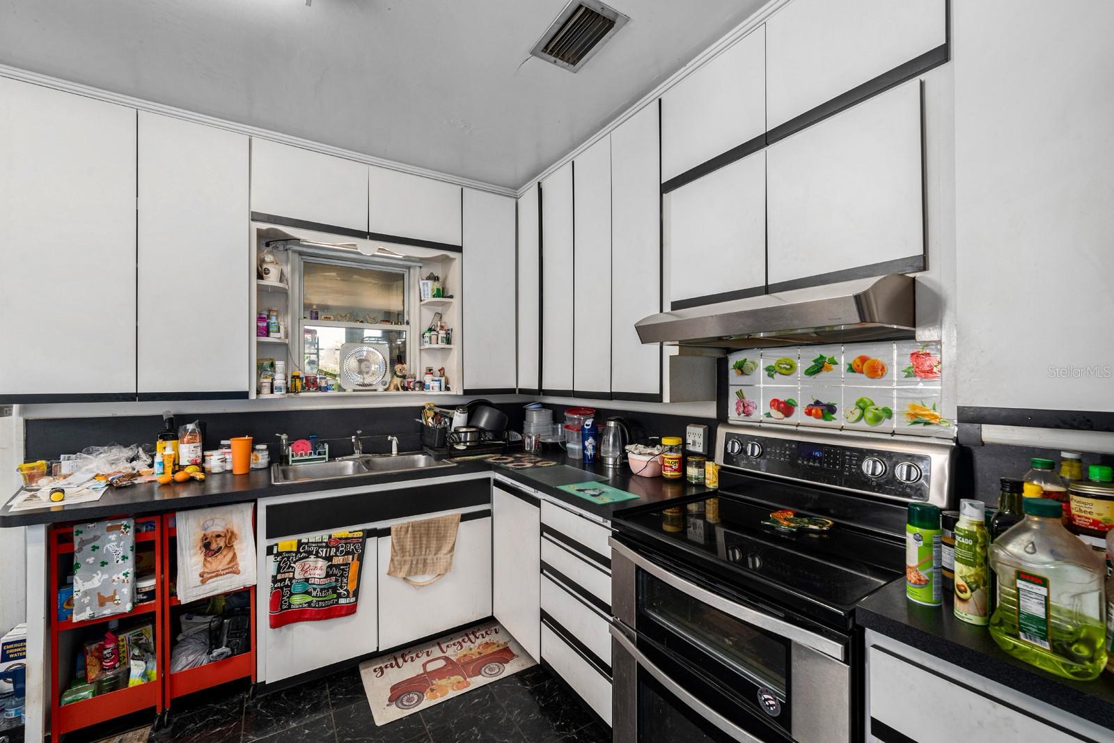 9602 RIPLEY RD, THONOTOSASSA, FL, 33592