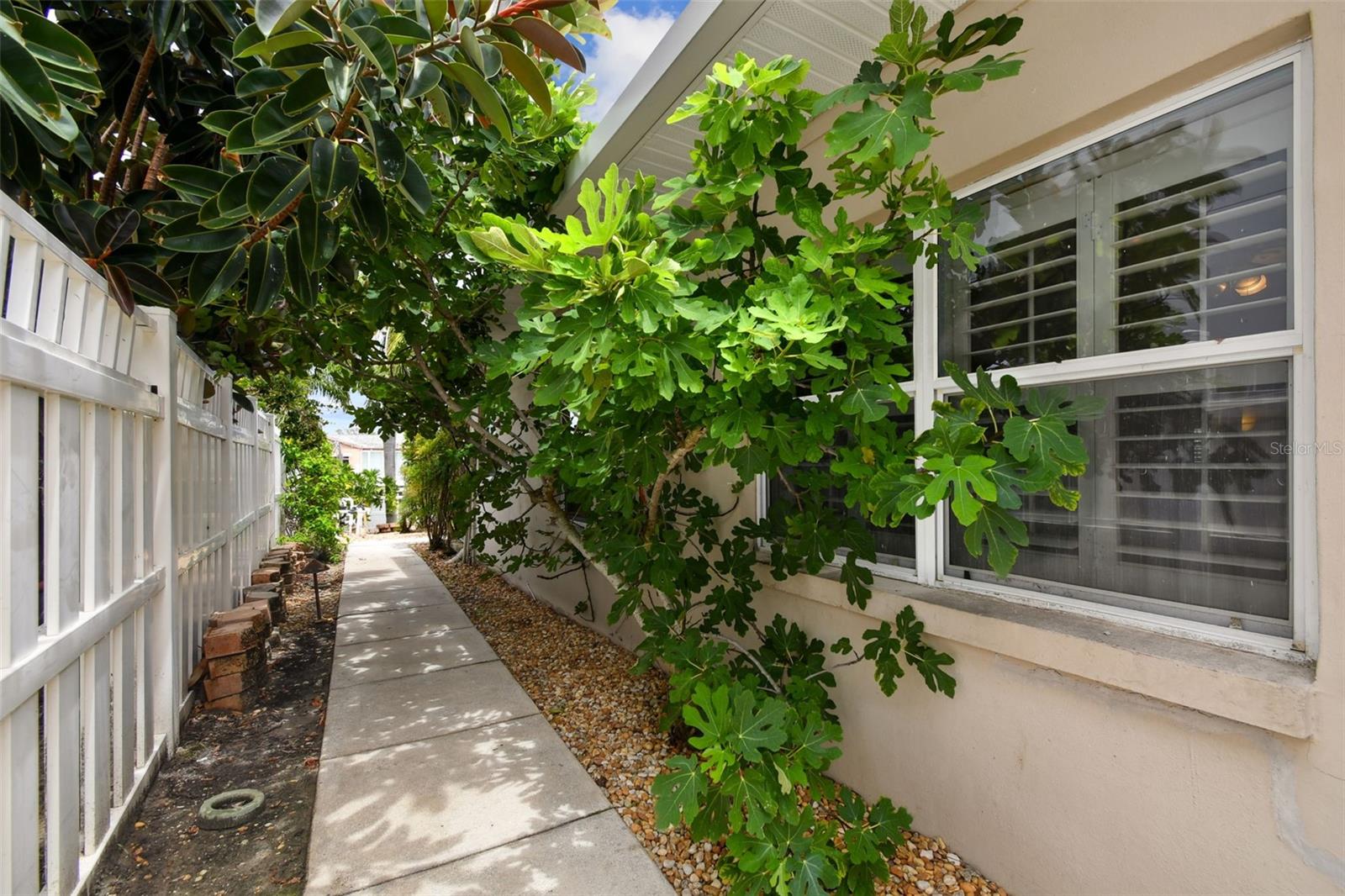 3921 E EDEN ROC CIR, TAMPA, FL, 33634