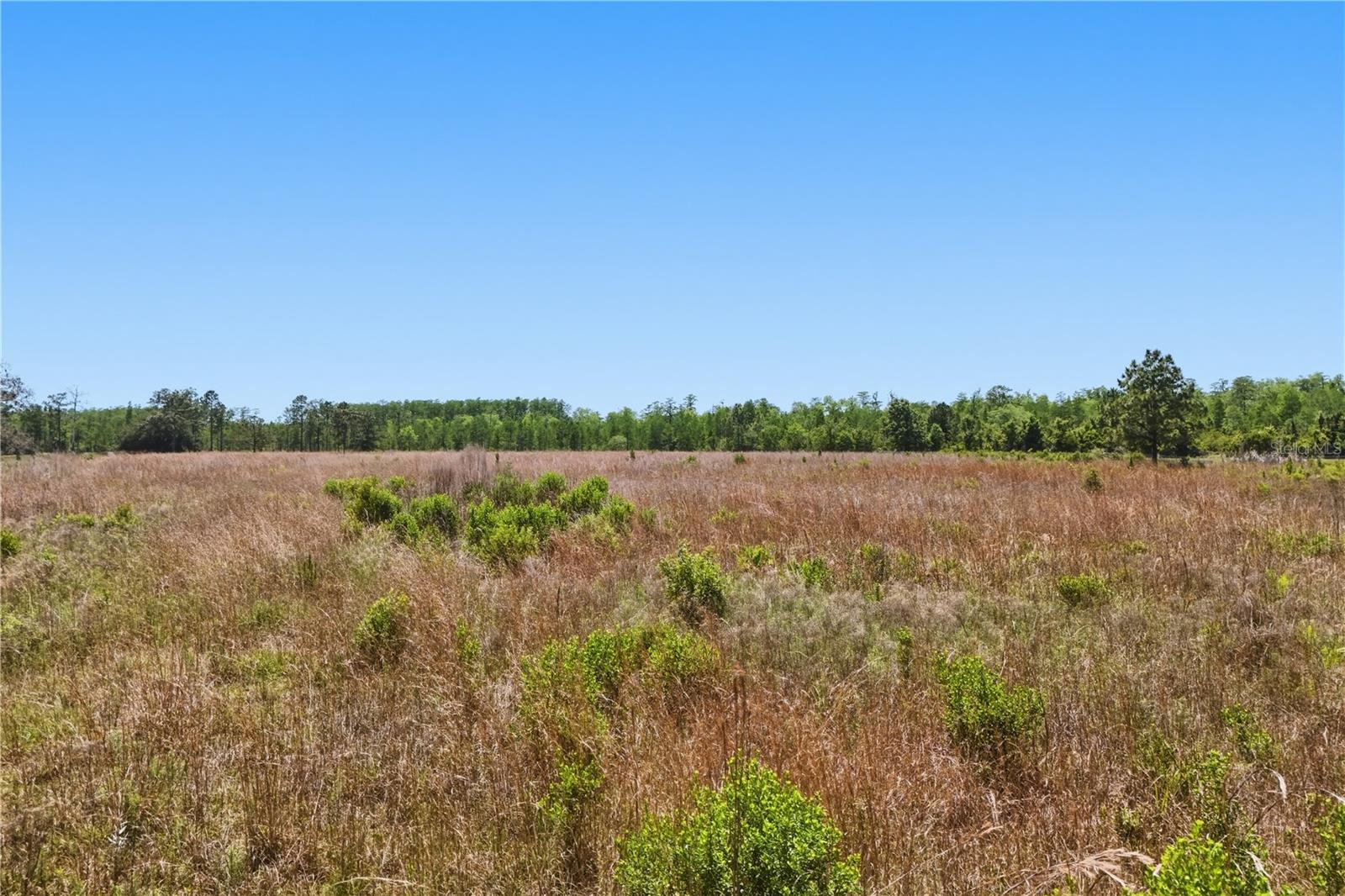E IRLO BRONSON MEMORIAL HWY #0, ST CLOUD, FL, 34771