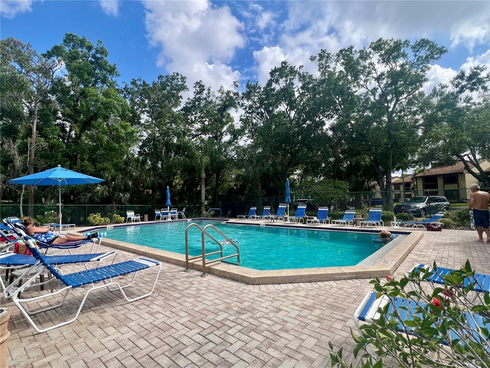142 WOODLAKE WYNDE #48, OLDSMAR, FL, 34677