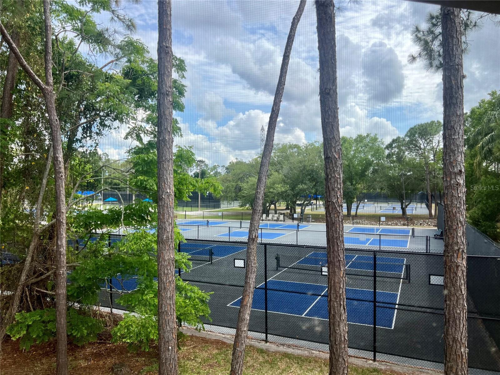142 WOODLAKE WYNDE #48, OLDSMAR, FL, 34677