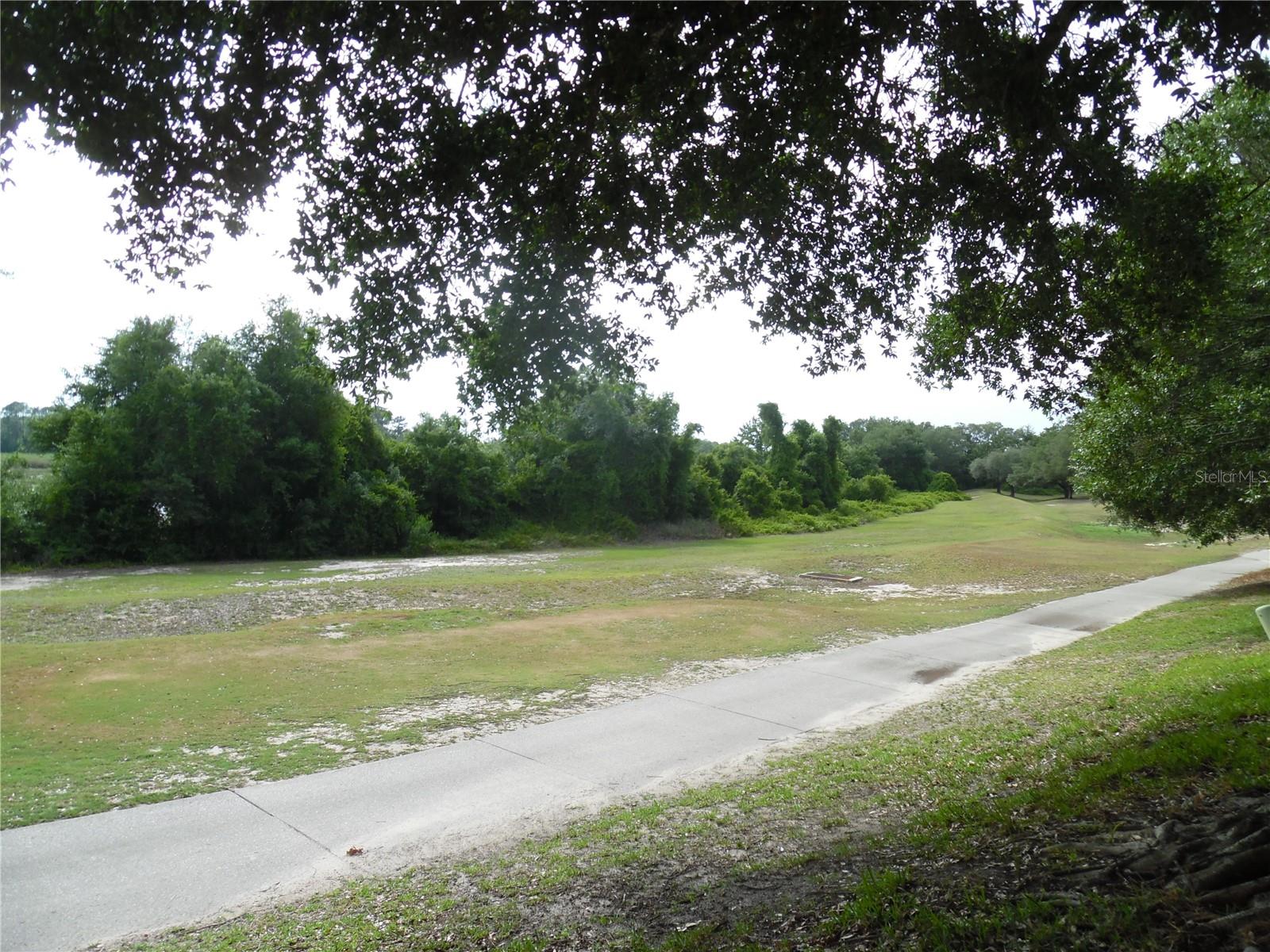 24947 CRANES ROOST CIR, LEESBURG, FL, 34748