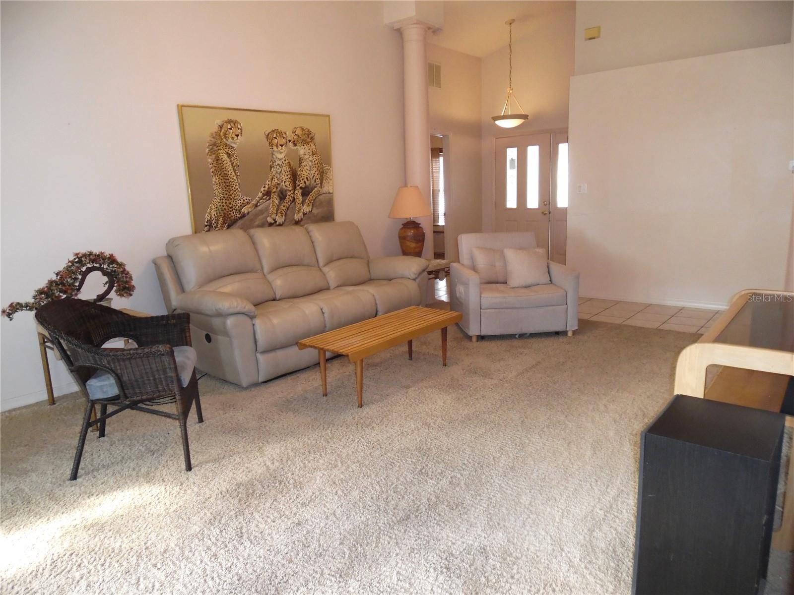 24947 CRANES ROOST CIR, LEESBURG, FL, 34748