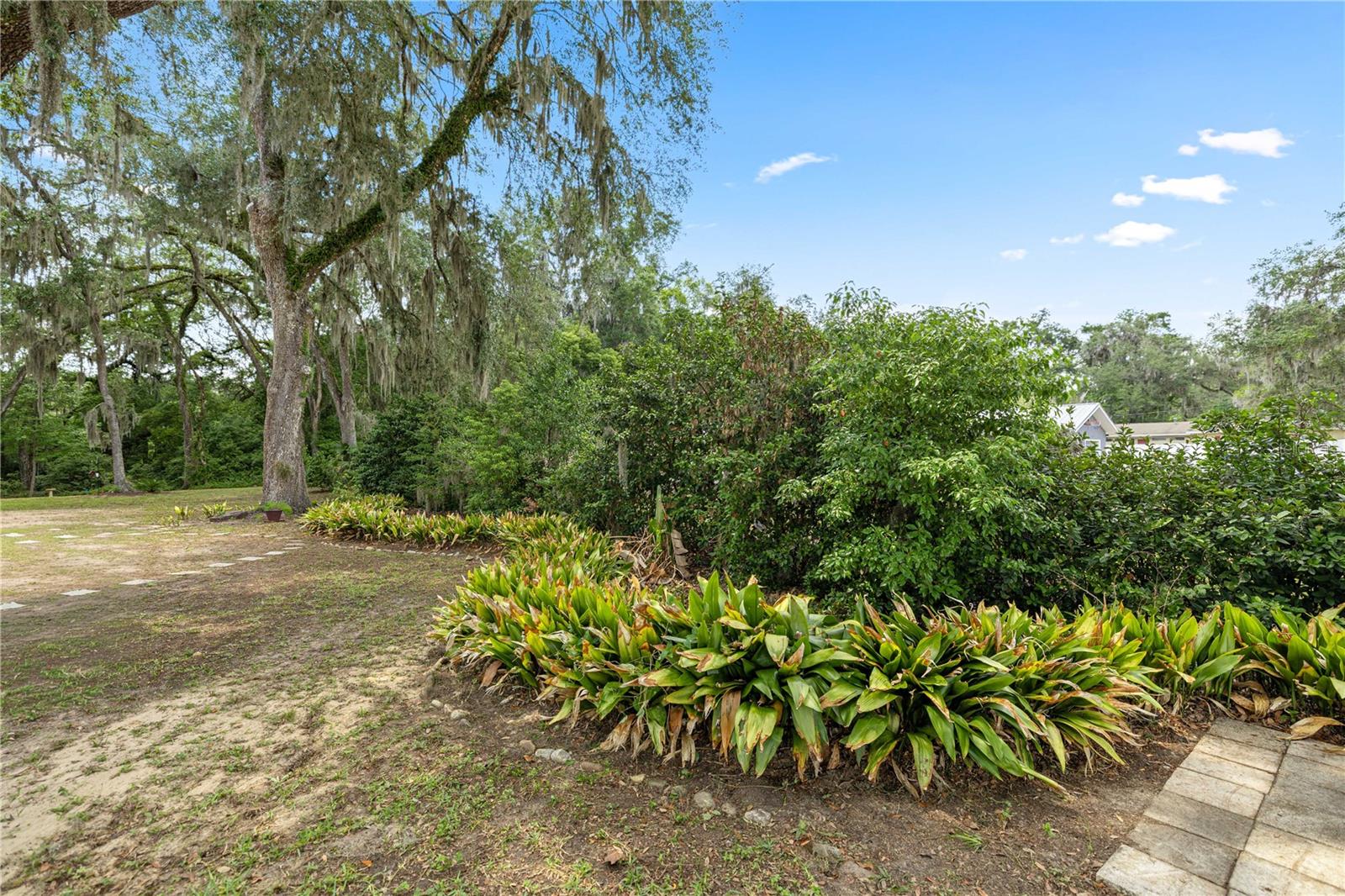 538 NW 7TH ST, WILLISTON, FL, 32696