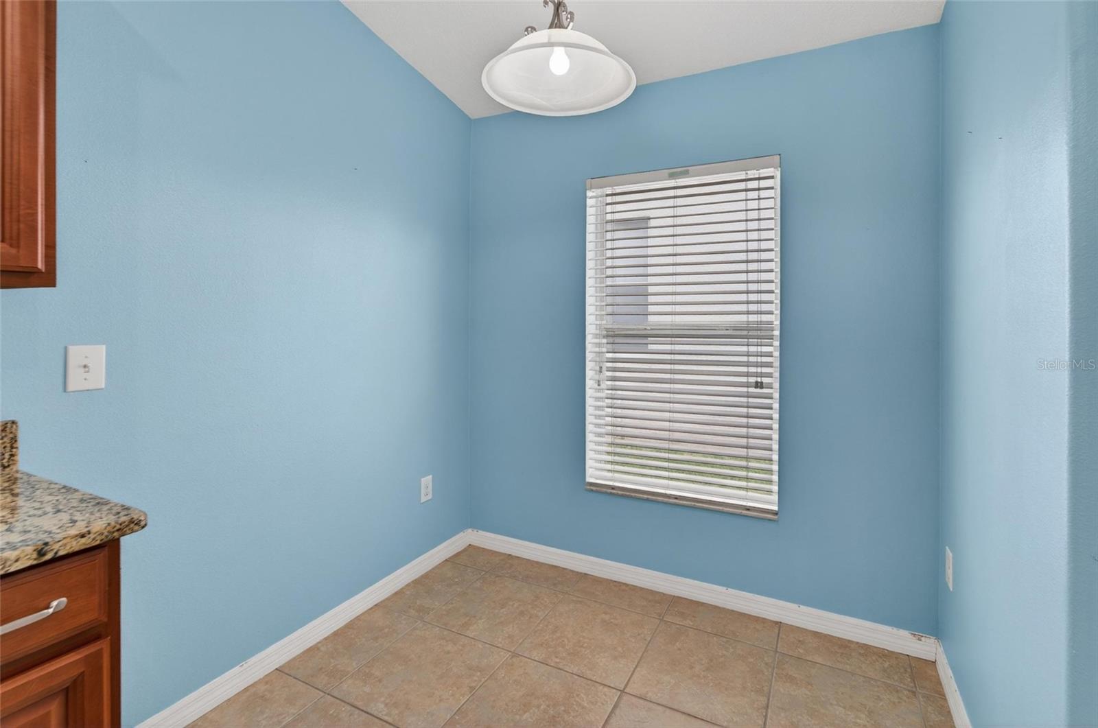 13128 ROYAL PINES AVE, RIVERVIEW, FL, 33579
