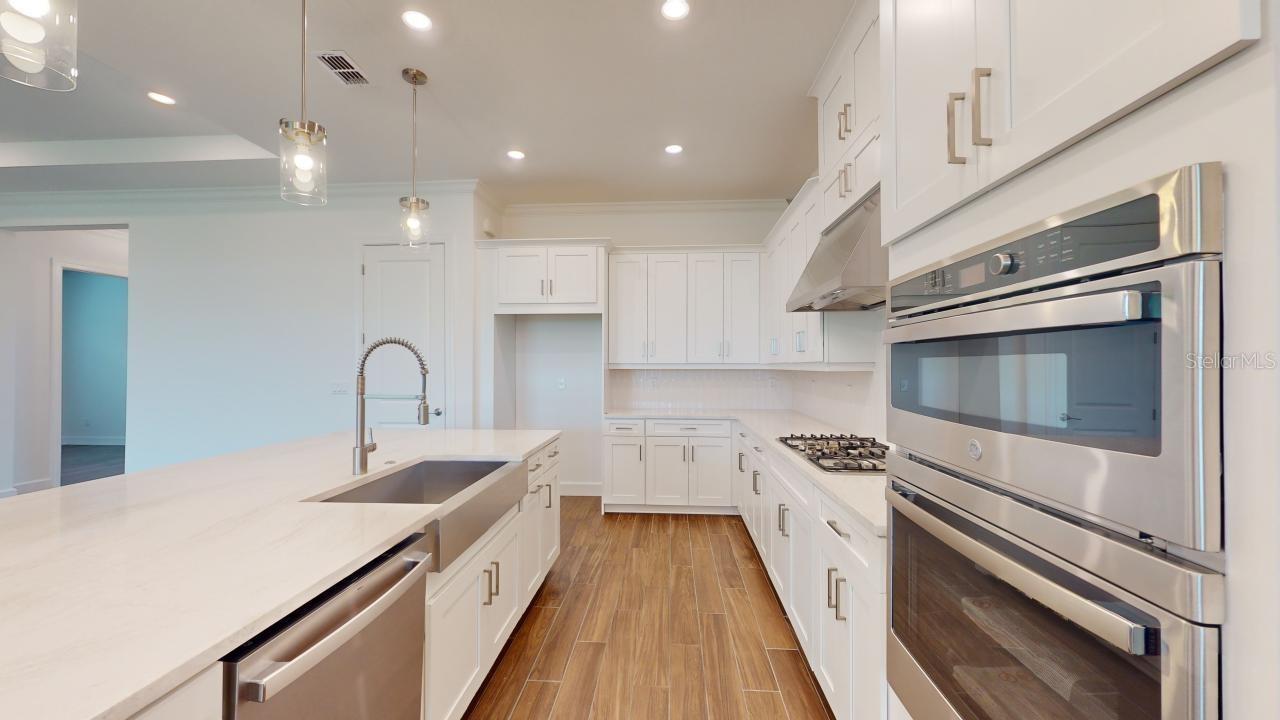 30175 IMPERATI BLVD, WESLEY CHAPEL, FL, 33543