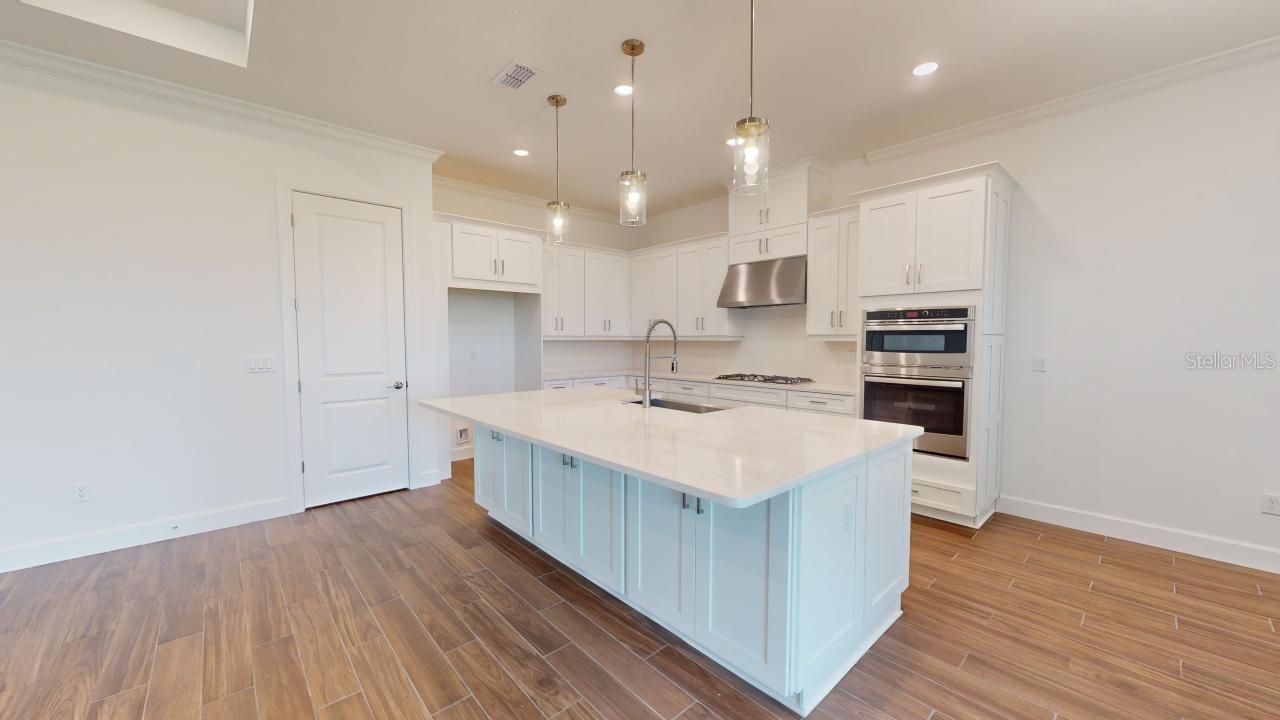 30175 IMPERATI BLVD, WESLEY CHAPEL, FL, 33543