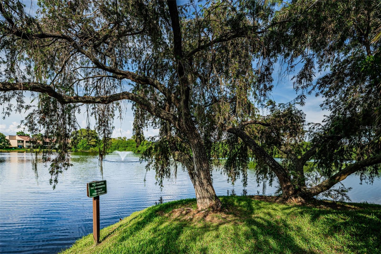 781 VILLAGE LAKE TER N #101A, ST PETERSBURG, FL, 33716