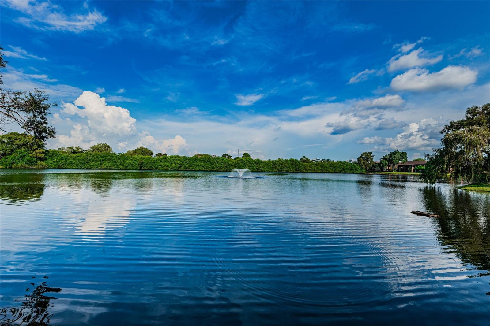 781 VILLAGE LAKE TER N #101A, ST PETERSBURG, FL, 33716