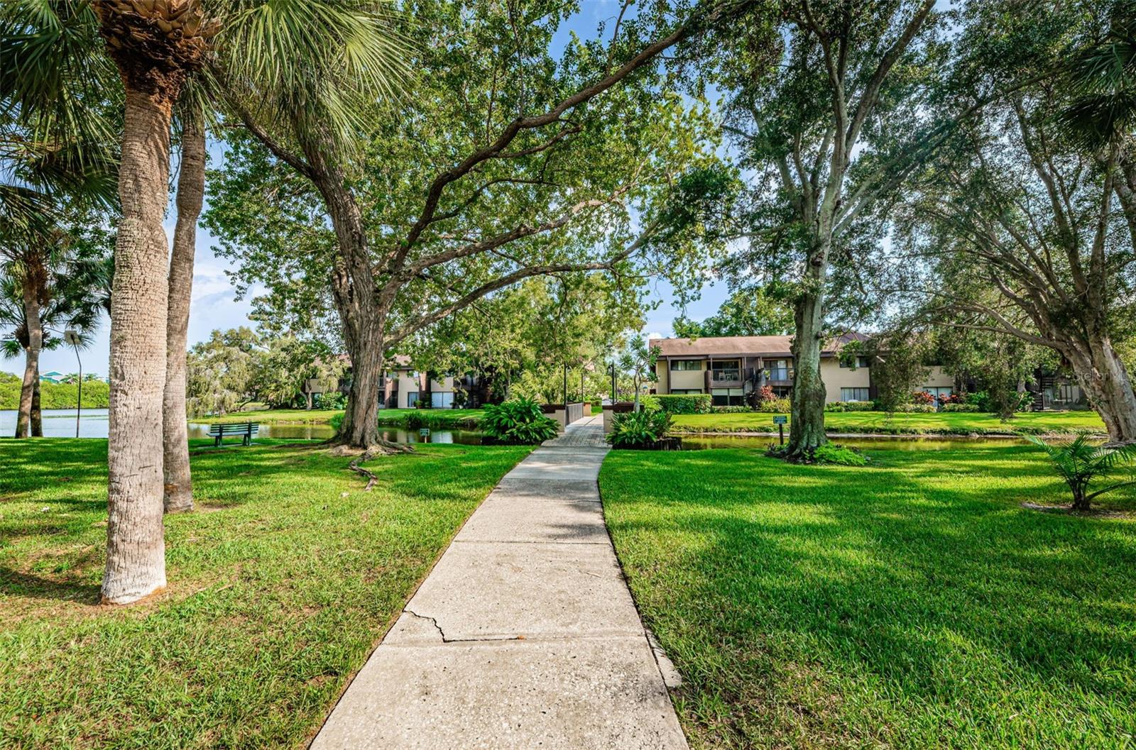 781 VILLAGE LAKE TER N #101A, ST PETERSBURG, FL, 33716