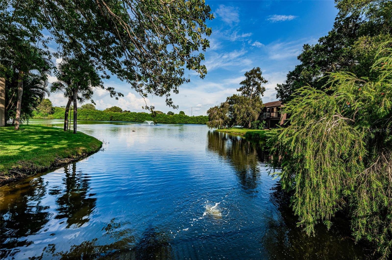 781 VILLAGE LAKE TER N #101A, ST PETERSBURG, FL, 33716