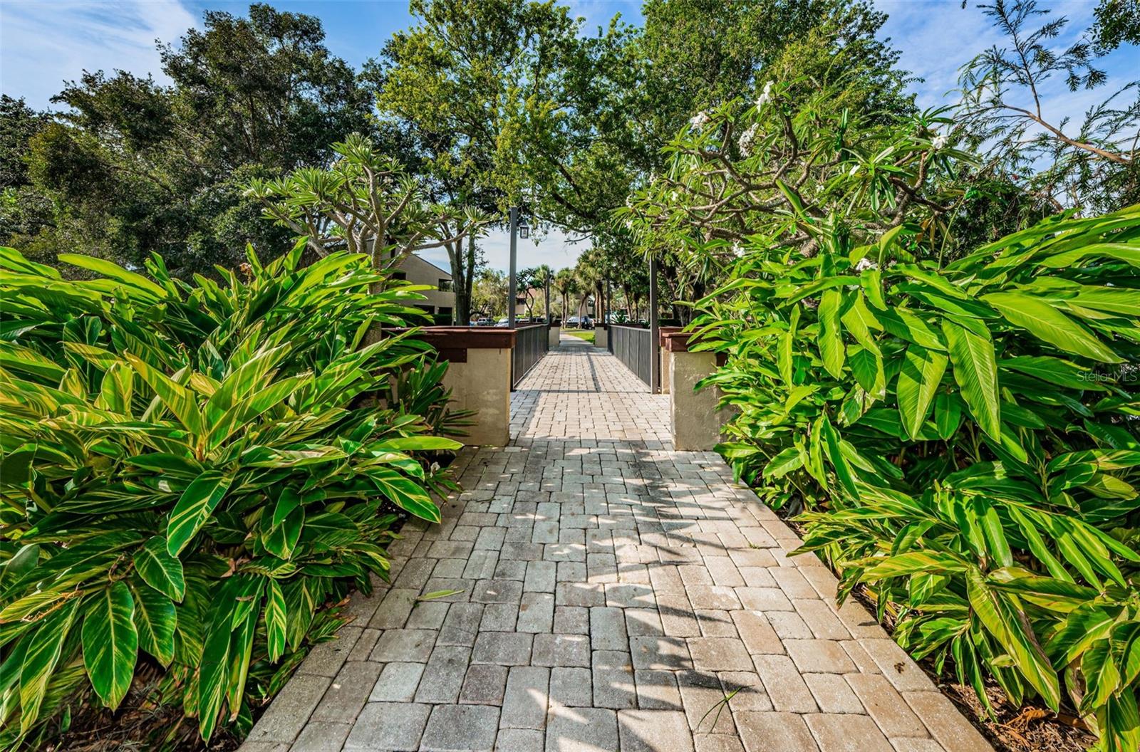 781 VILLAGE LAKE TER N #101A, ST PETERSBURG, FL, 33716