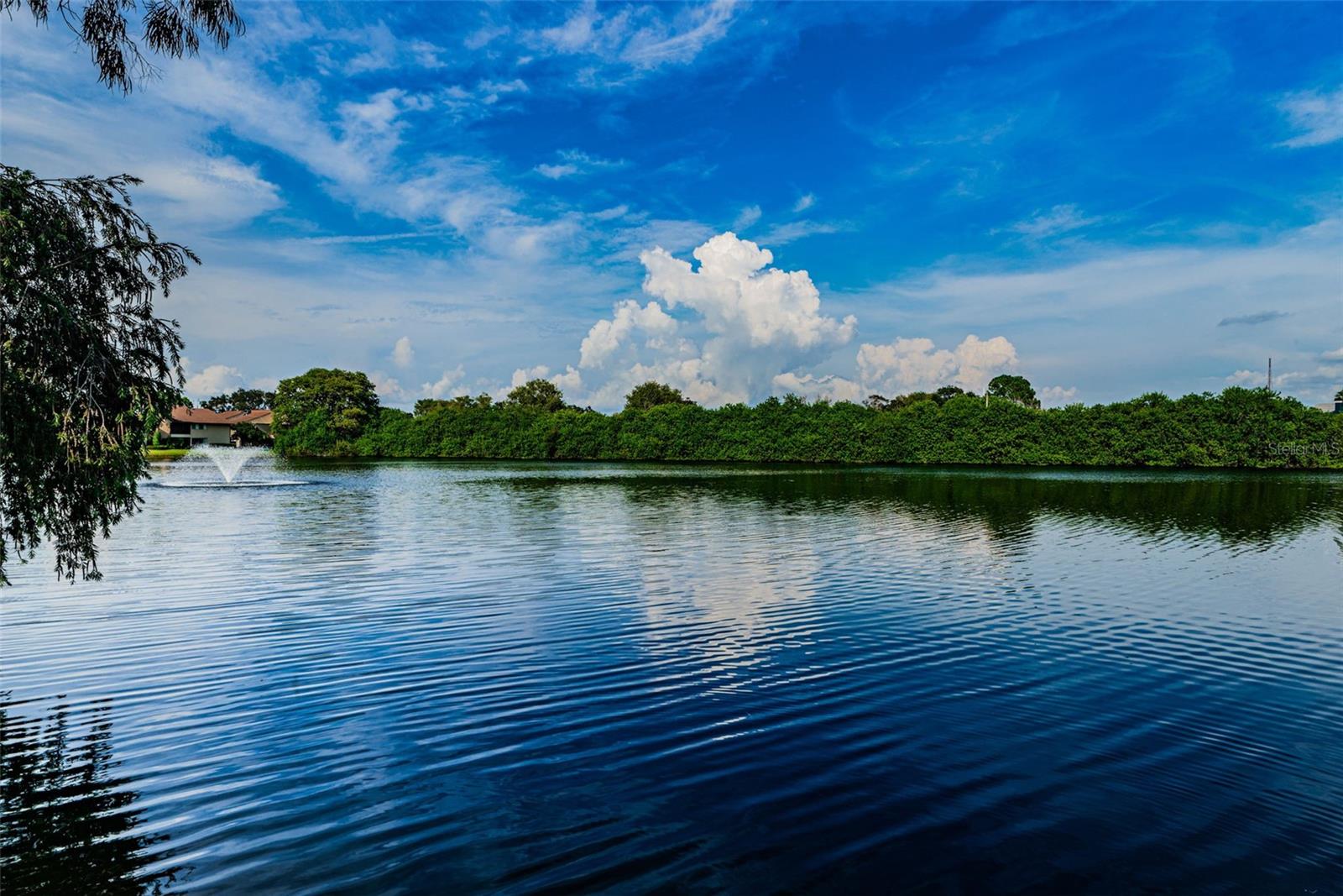 781 VILLAGE LAKE TER N #101A, ST PETERSBURG, FL, 33716