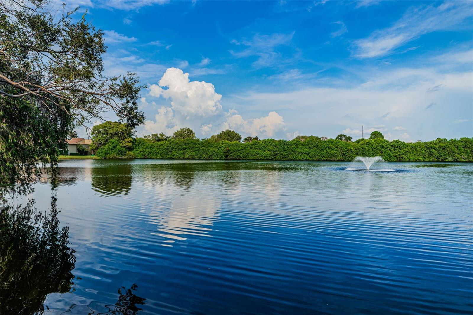 781 VILLAGE LAKE TER N #101A, ST PETERSBURG, FL, 33716